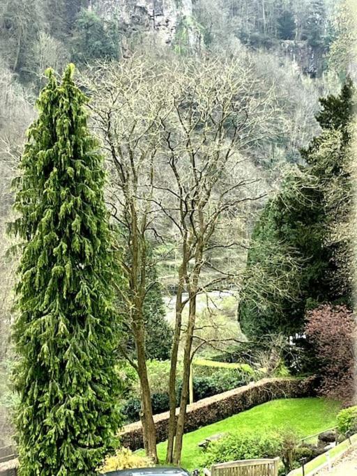 10 Wye Rapids Cottages Symonds Yat Zewnętrze zdjęcie
